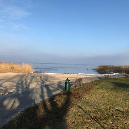 Ferien-Bungalow Im Seebad Ueckermuendeot Bellin Luaran gambar